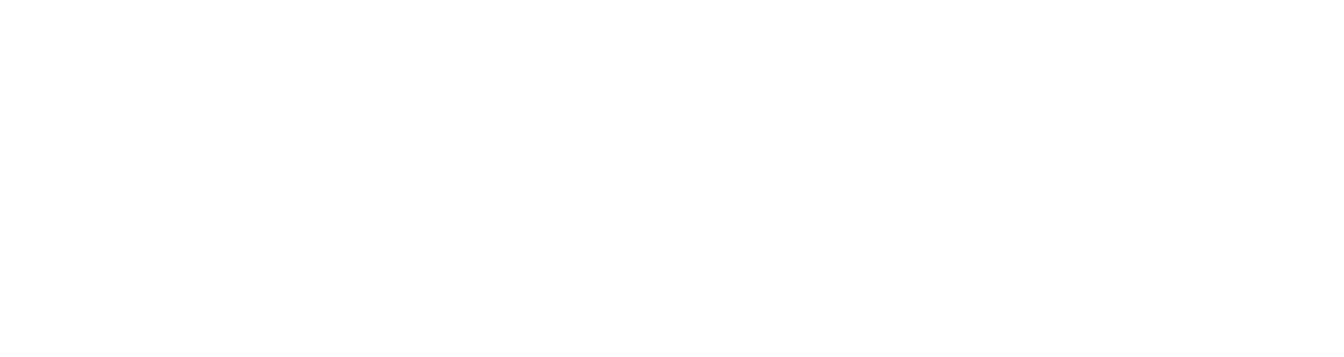 Seedance
